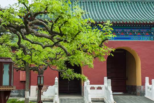 中國古典園林景觀
