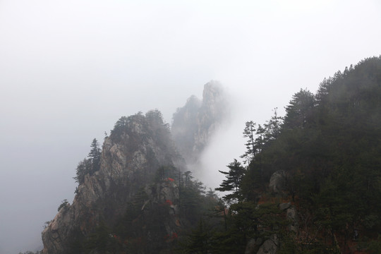 輕云曼霧的山嶺
