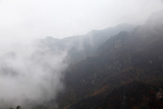 云遮霧罩伏牛山