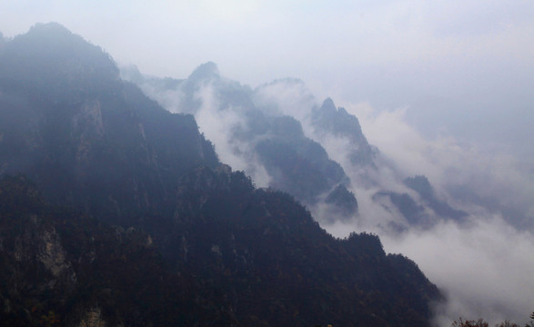 山中云霧