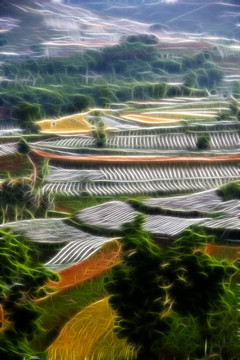 錦繡田園