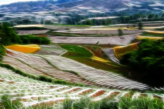 錦繡田園