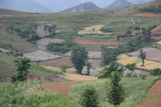 錦繡田園
