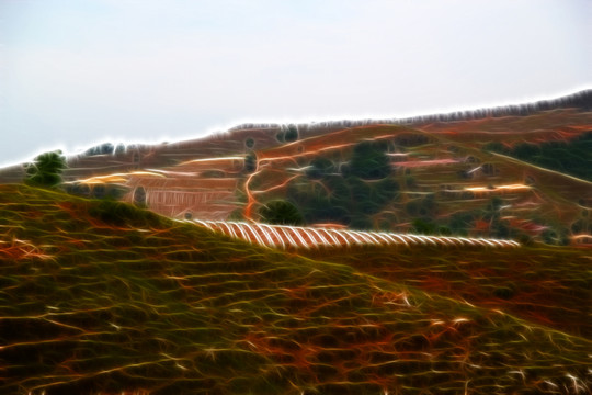 田野