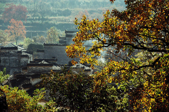 塔川秋色