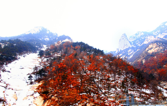 大山的冬天