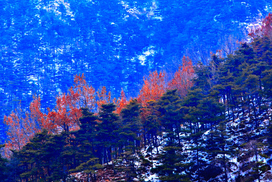 大山的冬天