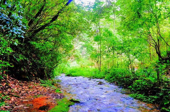 黃龍美景 （高清）