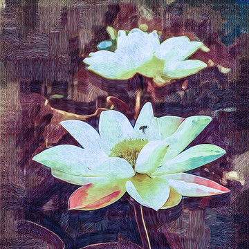 油畫 荷花