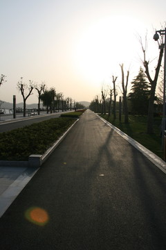 筆直的柏油路
