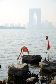 火烈鳥塑像