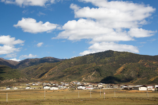 香格里拉田野