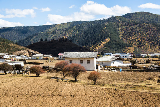 香格里拉鄉(xiāng)村