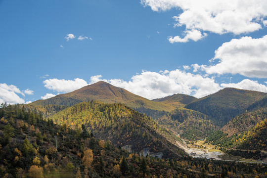 山