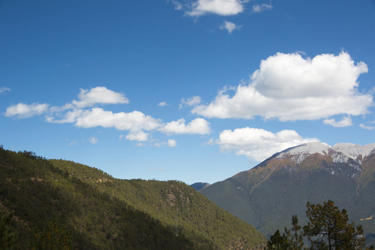 山