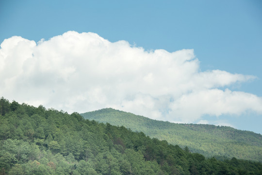 山