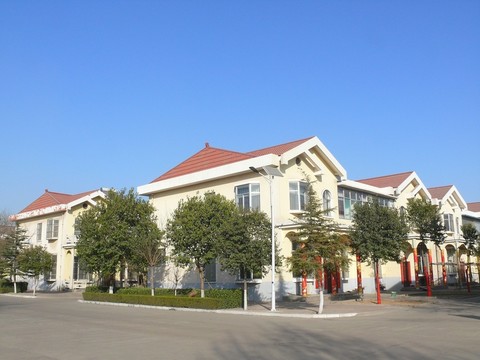 新農(nóng)村