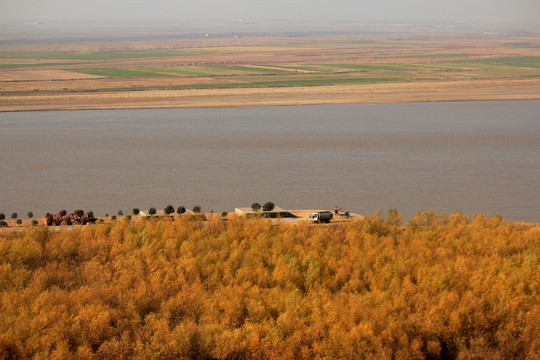 黃河