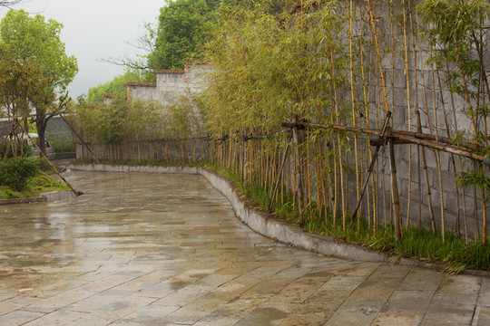 山莊別墅 道路 庭院 居住環(huán)境