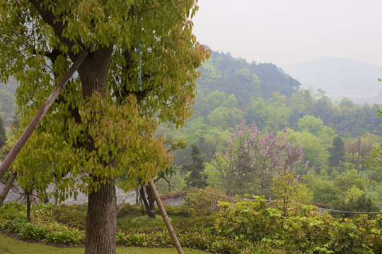 浙江 溫嶺 居住環(huán)境 鄉(xiāng)村