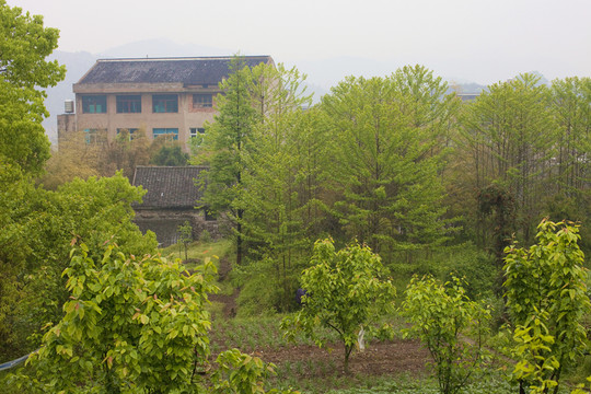 浙江 溫嶺 居住環(huán)境 鄉(xiāng)村