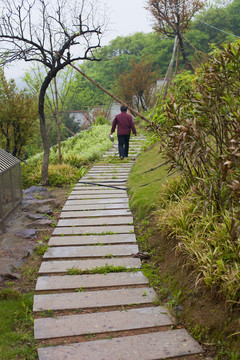 山莊別墅 道路 庭院 居住環(huán)境