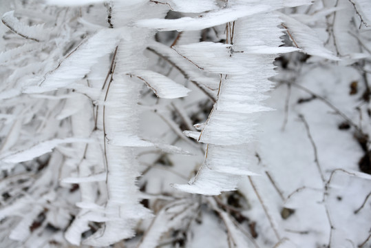 雪花