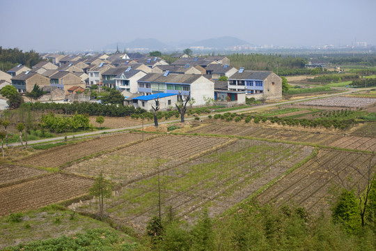 浙江 鄉(xiāng)村 村鎮(zhèn) 鄉(xiāng)鎮(zhèn) 農(nóng)田