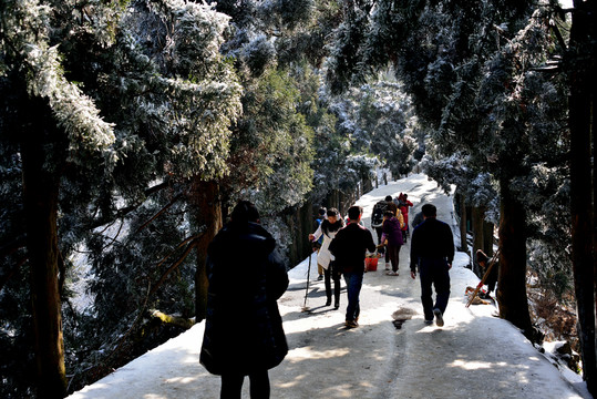 雪景