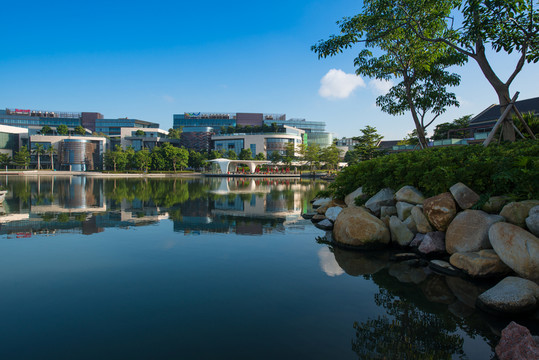 公園晨景
