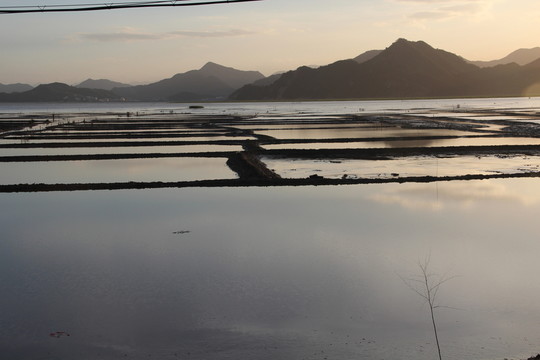 生態(tài)島