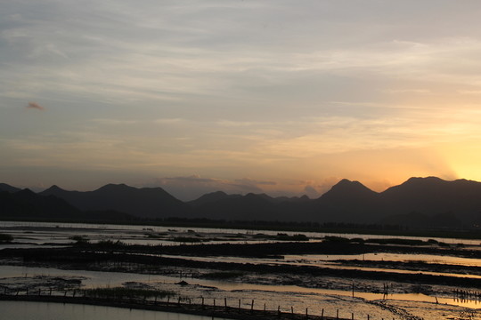 濕地 日落