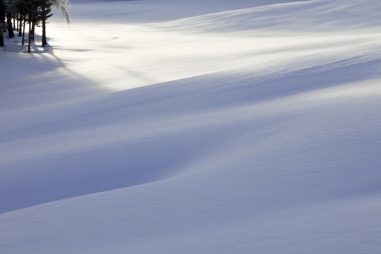 雪原