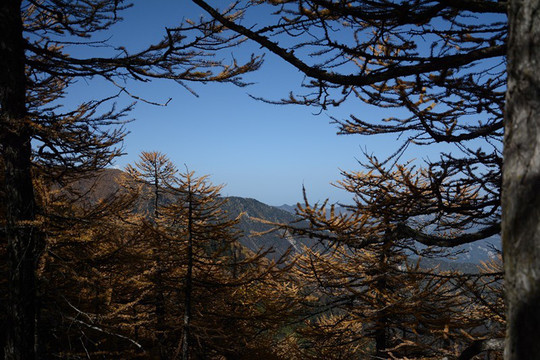 太白山風(fēng)景