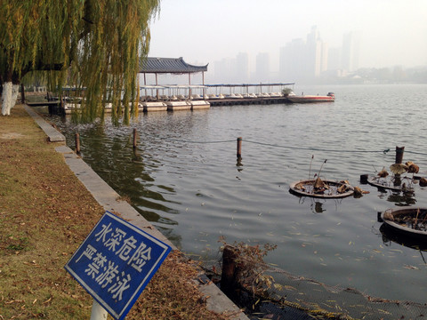 莫愁湖 湖堤 道路 樹木 湖面