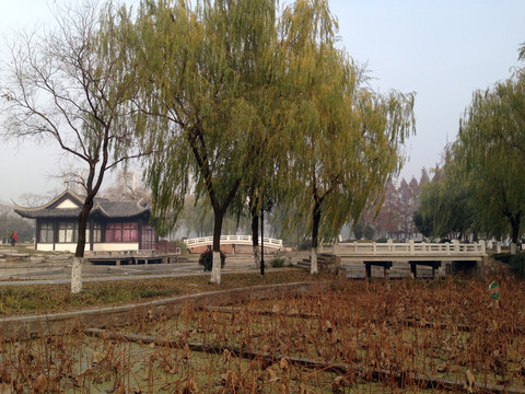 莫愁湖 湖堤 道路 樹(shù)木 湖面