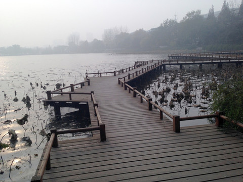 莫愁湖 棧橋 曲橋 中式建筑