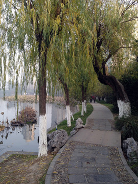 莫愁湖 湖堤 道路 樹木 湖面