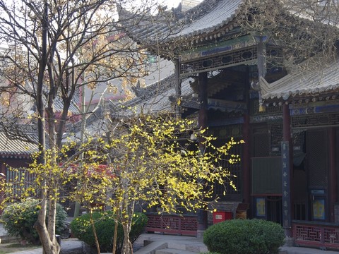 陜西西安大清真寺