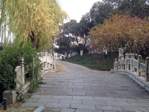 莫愁湖 道路 樹木 湖堤 南京