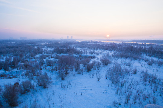 雪原  日出