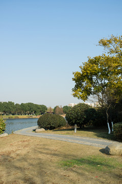 公園秋景