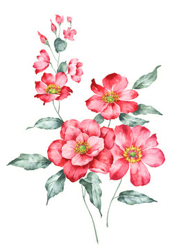 手繪花卉 合層