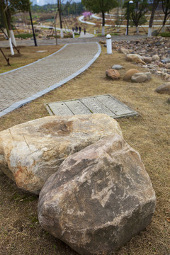 道路 小路 樹(shù)木 白塘生態(tài)園