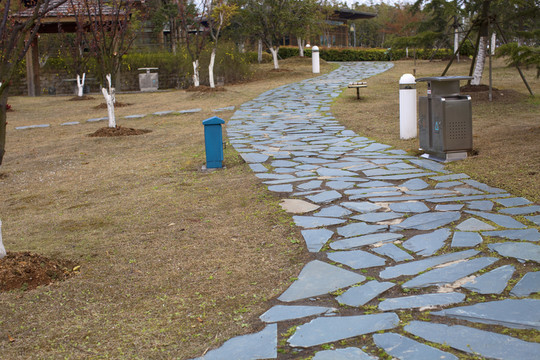 道路 小路 草坪 白塘生態(tài)園