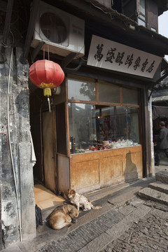 蘇州 甪直古鎮(zhèn) 江南 民俗商店