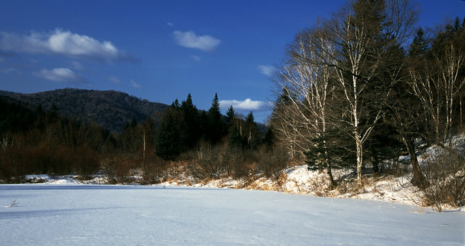 雪景 霧凇 樹掛 冬景 高清