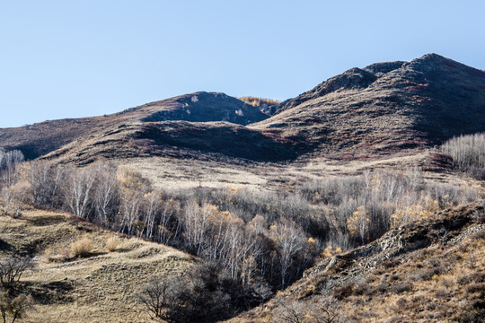 山