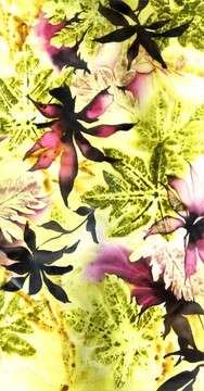 數(shù)碼花型