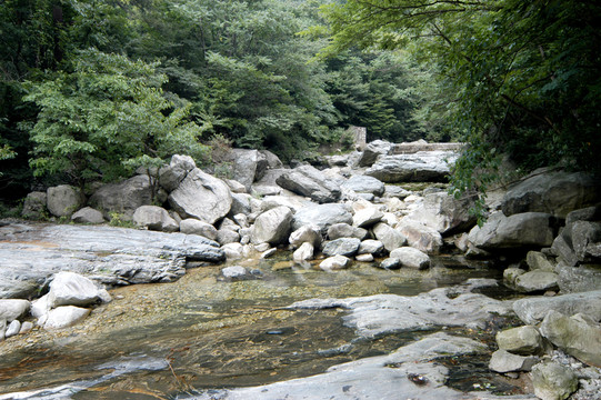 峽谷溪流